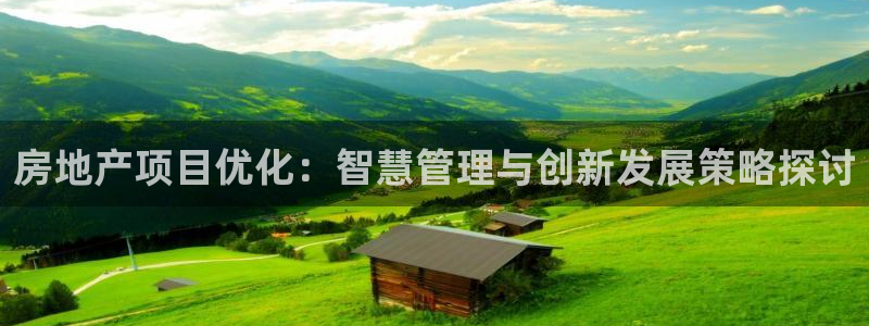 新宝5吕74OOO5：房地产项目优化：智慧管理与创新发展策略