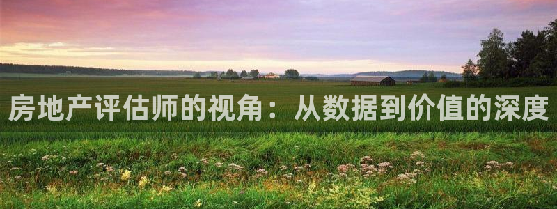 新宝5后：房地产评估师的视角：从数据到价值的深度