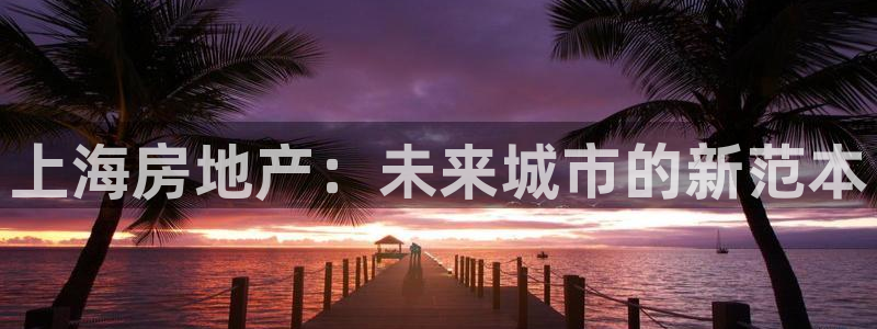 新宝5骗术：上海房地产：未来城市的新范本