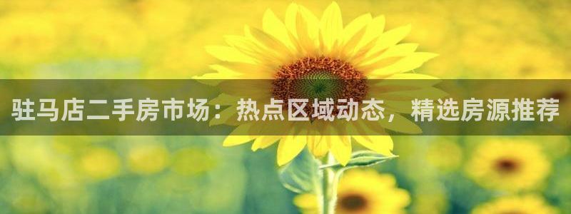 新宝5 888：驻马店二手房市场：热点区域动态，精选房源推荐