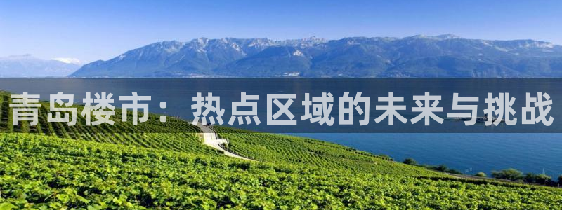 新宝5如何注册登录：青岛楼市：热点区域的未来与挑战
