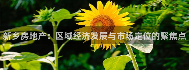 新宝5网：新乡房地产：区域经济发展与市场定位的聚焦点
