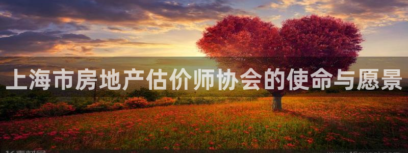 新宝5主管：上海市房地产估价师协会的使命与愿景