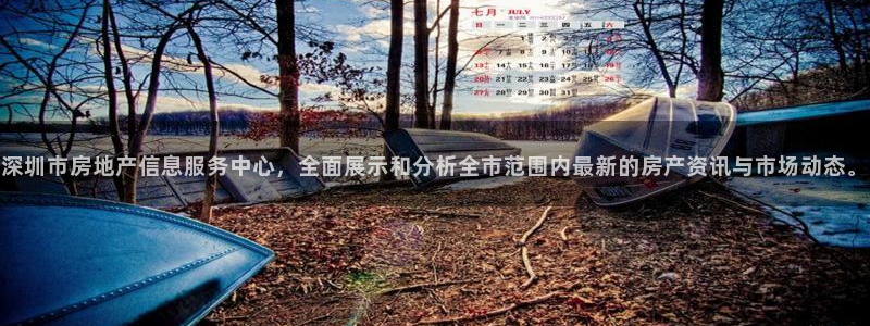 新宝5日谢29999：深圳市房地产信息服务中心，全面展示和分