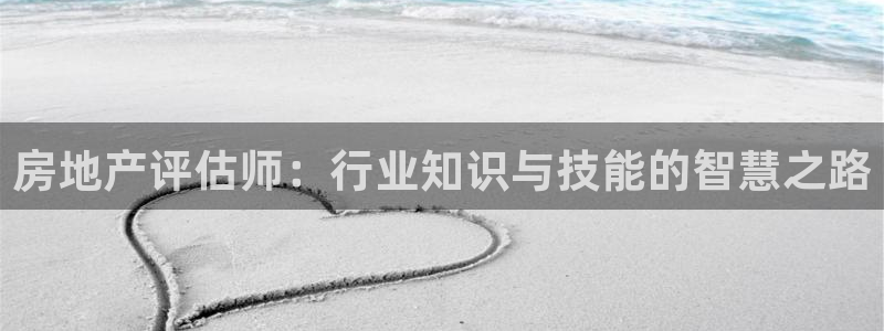 新宝5测：房地产评估师：行业知识与技能的智慧之路