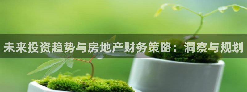 新宝5登录霸：未来投资趋势与房地产财务策略：洞察与规划