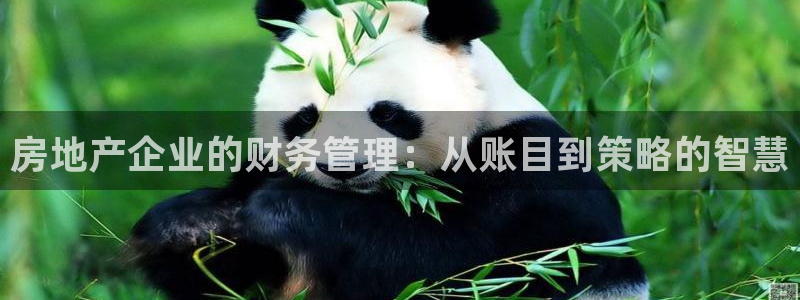 新宝5苹果手机下载：房地产企业的财务管理：从账目到策略的智慧