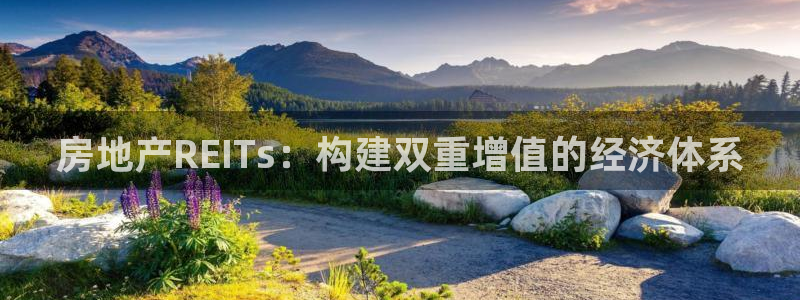 新宝5测速：房地产REITs：构建双重增值的经济体系