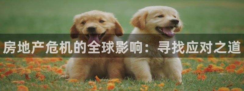 新宝5d：房地产危机的全球影响：寻找应对之道