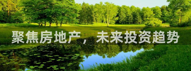 新宝6霸哥5：聚焦房地产，未来投资趋势