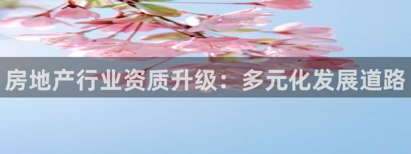 新宝5内部：房地产行业资质升级：多元化发展道路