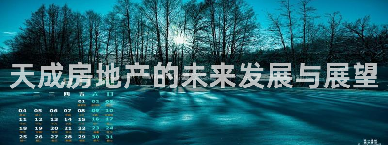新宝5测速线路：天成房地产的未来发展与展望
