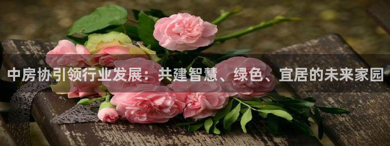 新宝5寻33 300球：中房协引领行业发展：共建智慧、绿色、