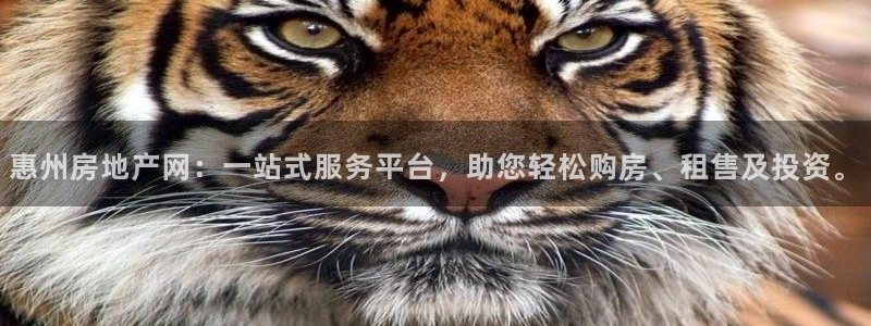 新宝5手机app：惠州房地产网：一站式服务平台，助您轻松购房