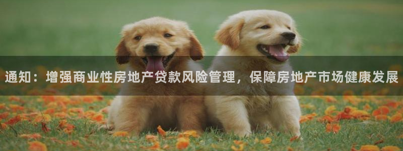 新宝5注册登录：通知：增强商业性房地产贷款风险管理，保障房地