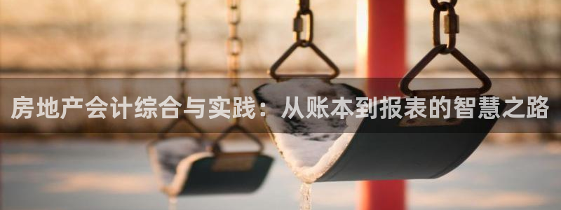 新宝5授权：房地产会计综合与实践：从账本到报表的智慧之路