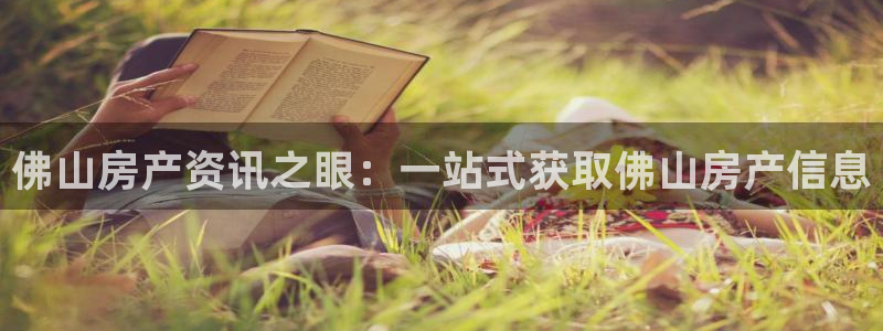 新宝5主管：佛山房产资讯之眼：一站式获取佛山房产信息