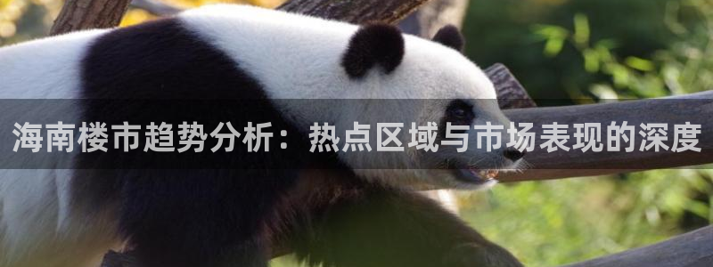 新宝rm5：海南楼市趋势分析：热点区域与市场表现的深度