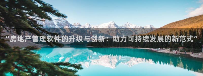 新宝5挂机：“房地产管理软件的升级与创新：助力可持续发展的新