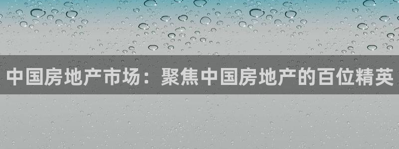 新宝堂新会陈皮5年：中国房地产市场：聚焦中国房地产的百位精英