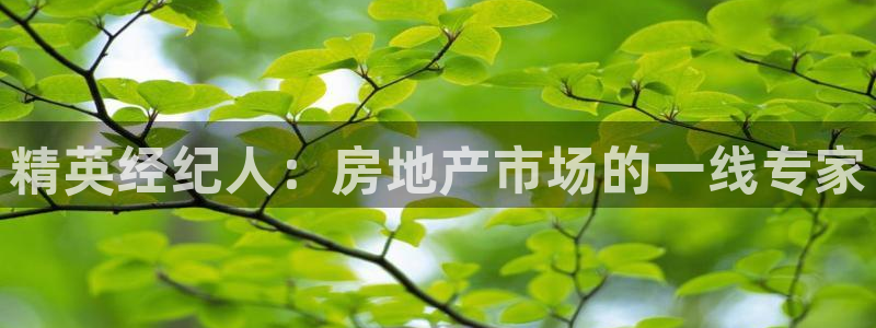 新宝5娱乐：精英经纪人：房地产市场的一线专家