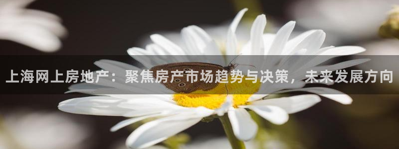新宝5测登录：上海网上房地产：聚焦房产市场趋势与决策，未来发