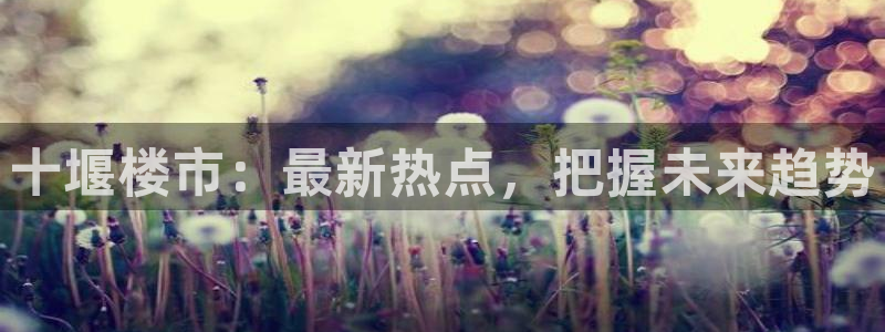 新宝5注册流程：十堰楼市：最新热点，把握未来趋势