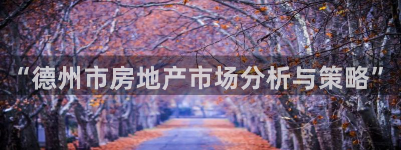 新宝5湫333 00：“德州市房地产市场分析与策略”