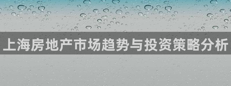 新宝5是什么样子的：上海房地产市场趋势与投资策略分析