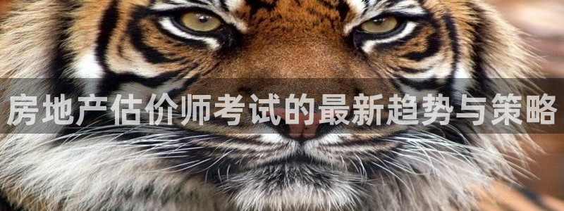 新宝5娱乐主管：房地产估价师考试的最新趋势与策略