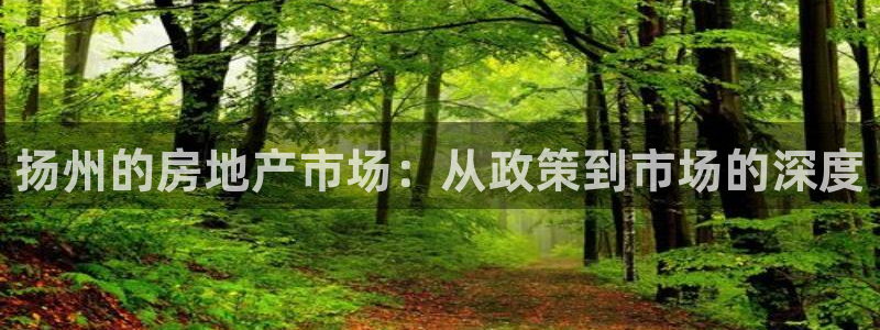 新宝5手机版登录：扬州的房地产市场：从政策到市场的深度