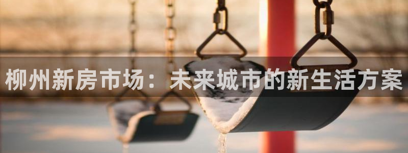 新宝5娱乐多：柳州新房市场：未来城市的新生活方案
