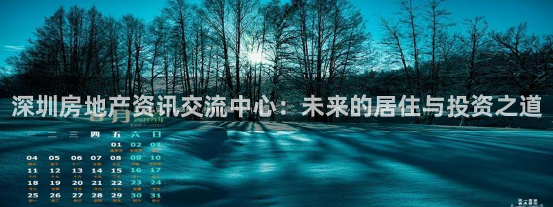 新宝5测速平台登录：深圳房地产资讯交流中心：未来的居住与投资