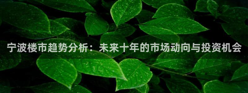 新宝5上70 667：宁波楼市趋势分析：未来十年的市场动向与