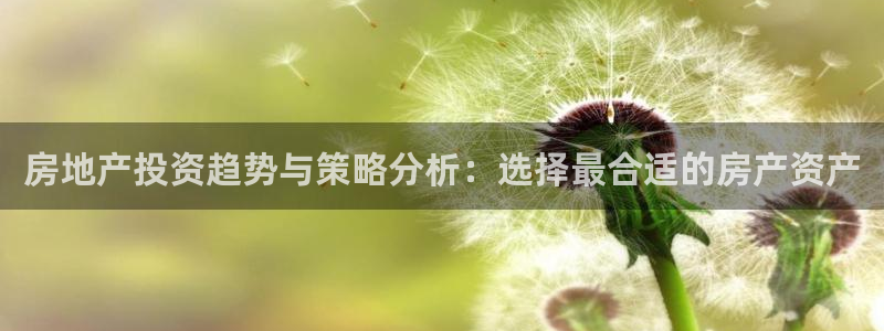 新宝5测速登陆：房地产投资趋势与策略分析：选择最合适的房产资