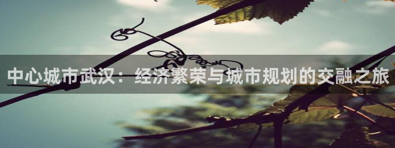 新宝速5：中心城市武汉：经济繁荣与城市规划的交融之旅