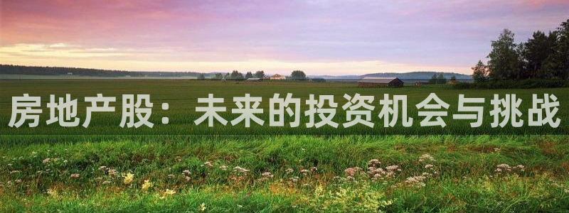 新宝5现在还能玩吗：房地产股：未来的投资机会与挑战