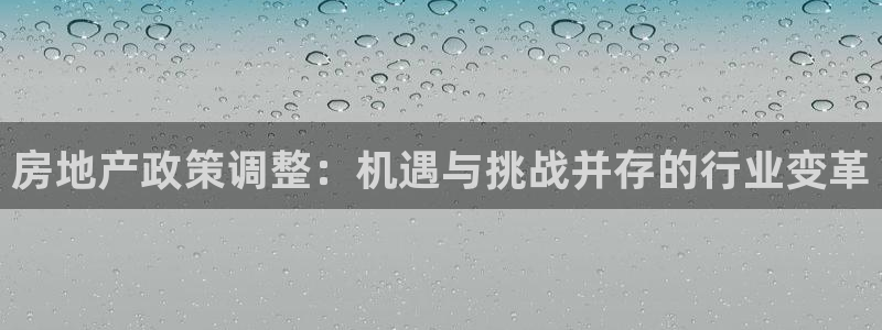 新宝5线路登录：房地产政策调整：机遇与挑战并存的行业变革