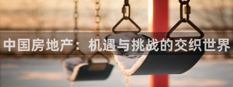 新宝5平台注册：中国房地产：机遇与挑战的交织世界