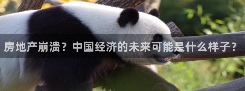 新宝5娱乐多：房地产崩溃？中国经济的未来可能是什么样子？