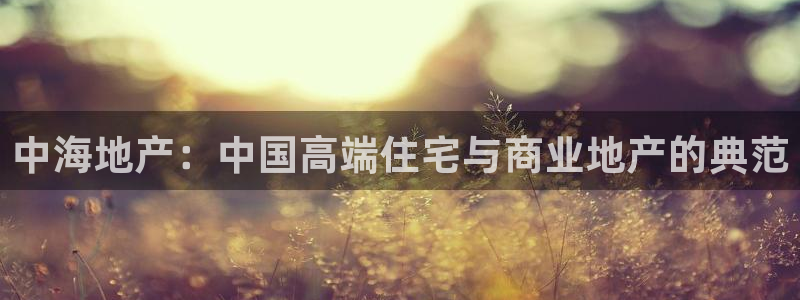 新宝5网址：中海地产：中国高端住宅与商业地产的典范