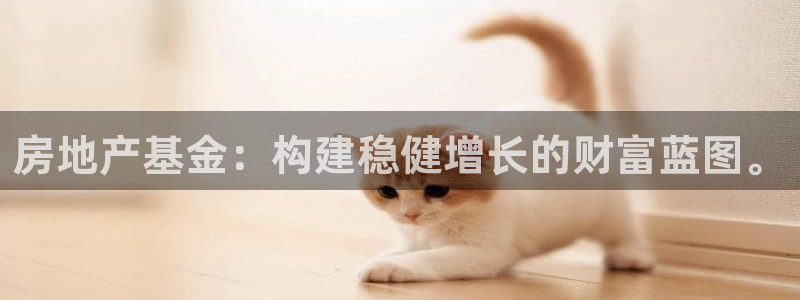 新宝5天：房地产基金：构建稳健增长的财富蓝图。