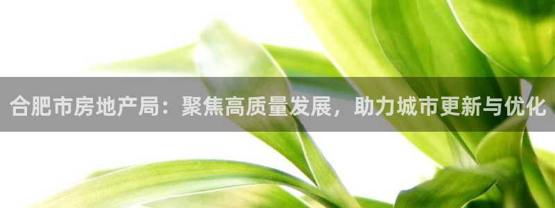 新宝5网站：合肥市房地产局：聚焦高质量发展，助力城市更新与优