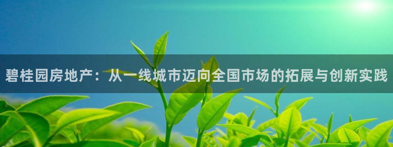 新宝5主管：碧桂园房地产：从一线城市迈向全国市场的拓展与创新