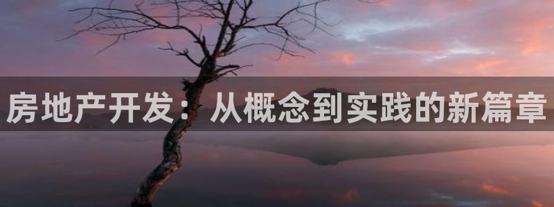 新宝5娱乐网址：房地产开发：从概念到实践的新篇章