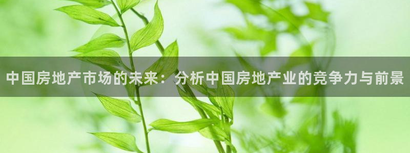 新宝5官网平台：中国房地产市场的未来：分析中国房地产业的竞争