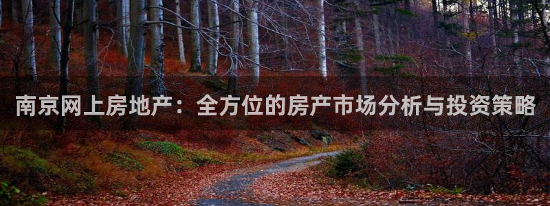 新宝5平台登陆：南京网上房地产：全方位的房产市场分析与投资策