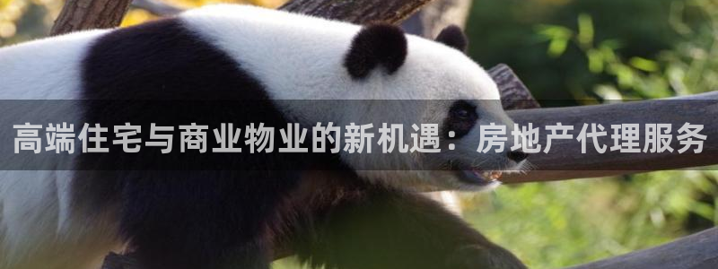 新宝5秒开：高端住宅与商业物业的新机遇：房地产代理服务