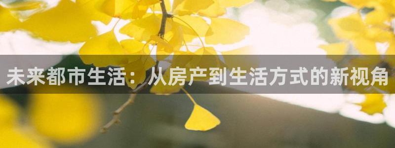 新宝那2O5O5O：未来都市生活：从房产到生活方式的新视角