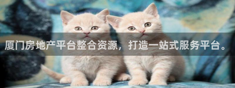 新宝5下载软件：厦门房地产平台整合资源，打造一站式服务平台。